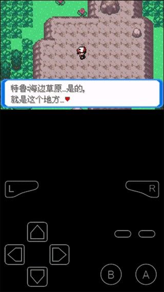口袋妖怪决心金手指