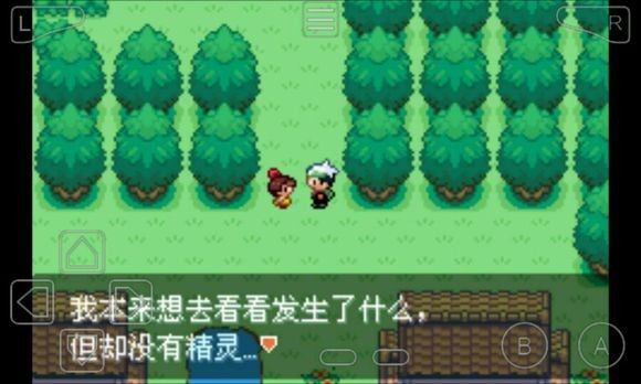 口袋妖怪永恒之沫 口袋妖怪永恒之沫