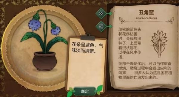奇异园艺 奇异园艺