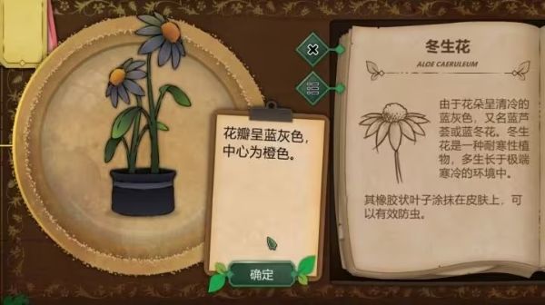 奇异园艺 奇异园艺
