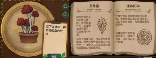 奇异园艺 奇异园艺