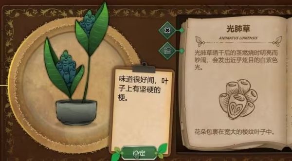 奇异园艺 奇异园艺