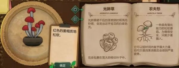 奇异园艺 奇异园艺
