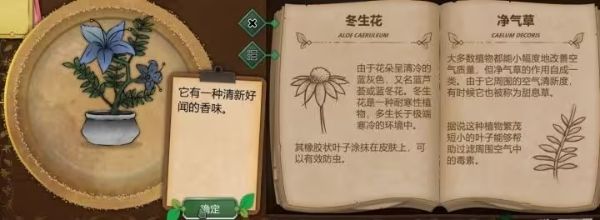 奇异园艺 奇异园艺