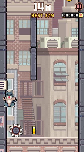 猫跳 猫跳