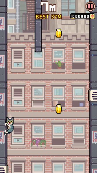 猫跳 猫跳