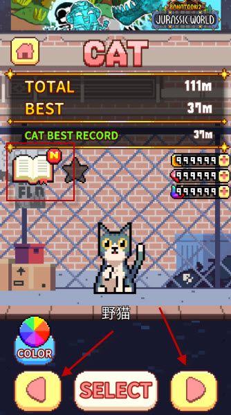 猫跳 猫跳