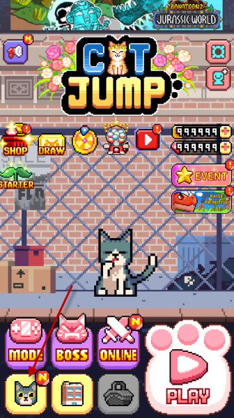 猫跳 猫跳