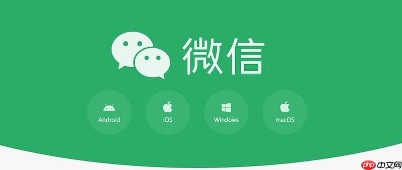 弹跳小球微信小游戏畅玩入口 弹跳小球网页版即刻开玩 弹跳小球微信小游戏畅玩入口 弹跳小球网页版即刻开玩