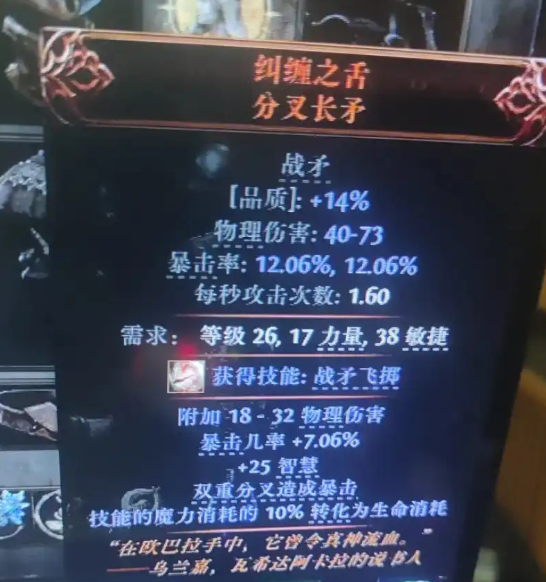 流放之路2-高价值装备物品展示解析