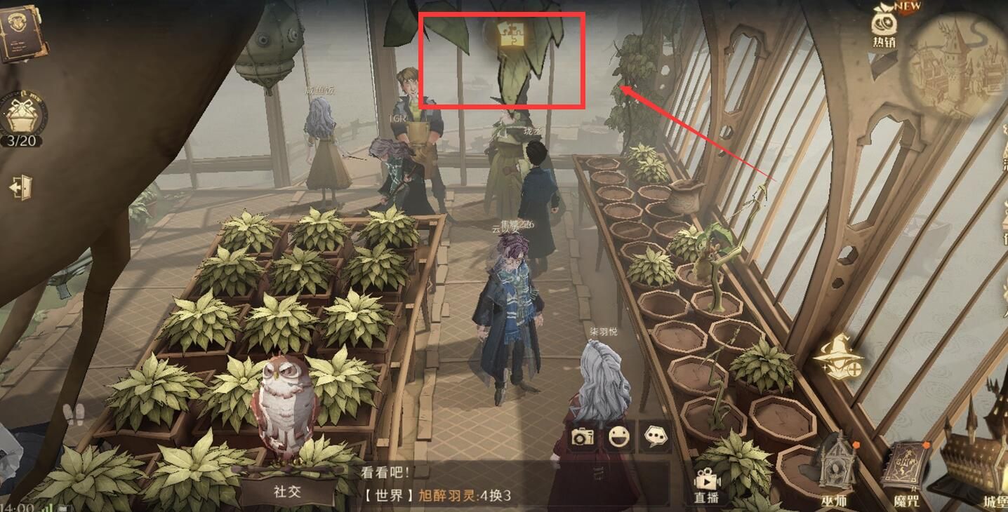 哈利波特魔法千万别给幼苗攻略 哈利波特魔法千万别给幼苗攻略