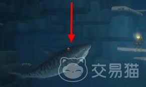 潜水员戴夫中虎鲨怎么打 潜水员戴夫中虎鲨怎么打