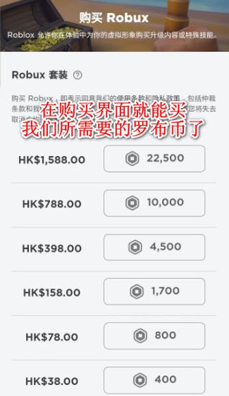 roblox官方线上玩入口-罗布乐思roblox中文版在线玩入口