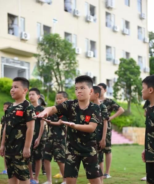 亮剑2特战技能加点攻略(亮剑2特战技能加点攻略,打造无敌战斗团队) 亮剑2特战技能加点攻略(亮剑2特战技能加点攻略,打造无敌战斗团队)