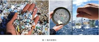 海洋中的微塑料指的是直径小于多少的塑料颗粒 海洋中的微塑料指的是直径小于多少的塑料颗粒