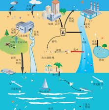 海洋中的微塑料指的是直径小于多少的塑料颗粒 海洋中的微塑料指的是直径小于多少的塑料颗粒