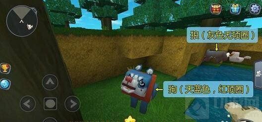 迷你世界怎么驯服狼当坐骑 驯服狼当坐骑技巧 迷你世界怎么驯服狼当坐骑 驯服狼当坐骑技巧