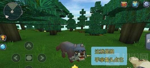 迷你世界怎么驯服狼当坐骑 驯服狼当坐骑技巧 迷你世界怎么驯服狼当坐骑 驯服狼当坐骑技巧