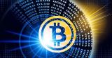 神奇海洋-1月1日今日最新答案2026